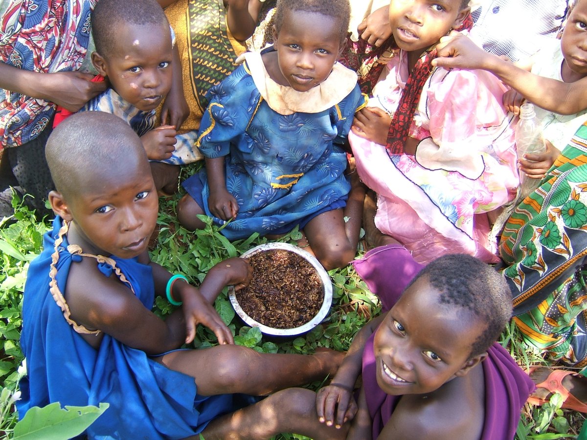 #Benefizaktion #ImpfenFuerAfrika heuer im Zeichen des Welternährungstages. Die Sorge, ob die nächste Mahlzeit ausreichen wird, um sich selbst und die Familie zu versorgen, ist für viele Menschen in Entwicklungsländern leider allgegenwärtig. Mehr: bit.ly/3kl3hbI