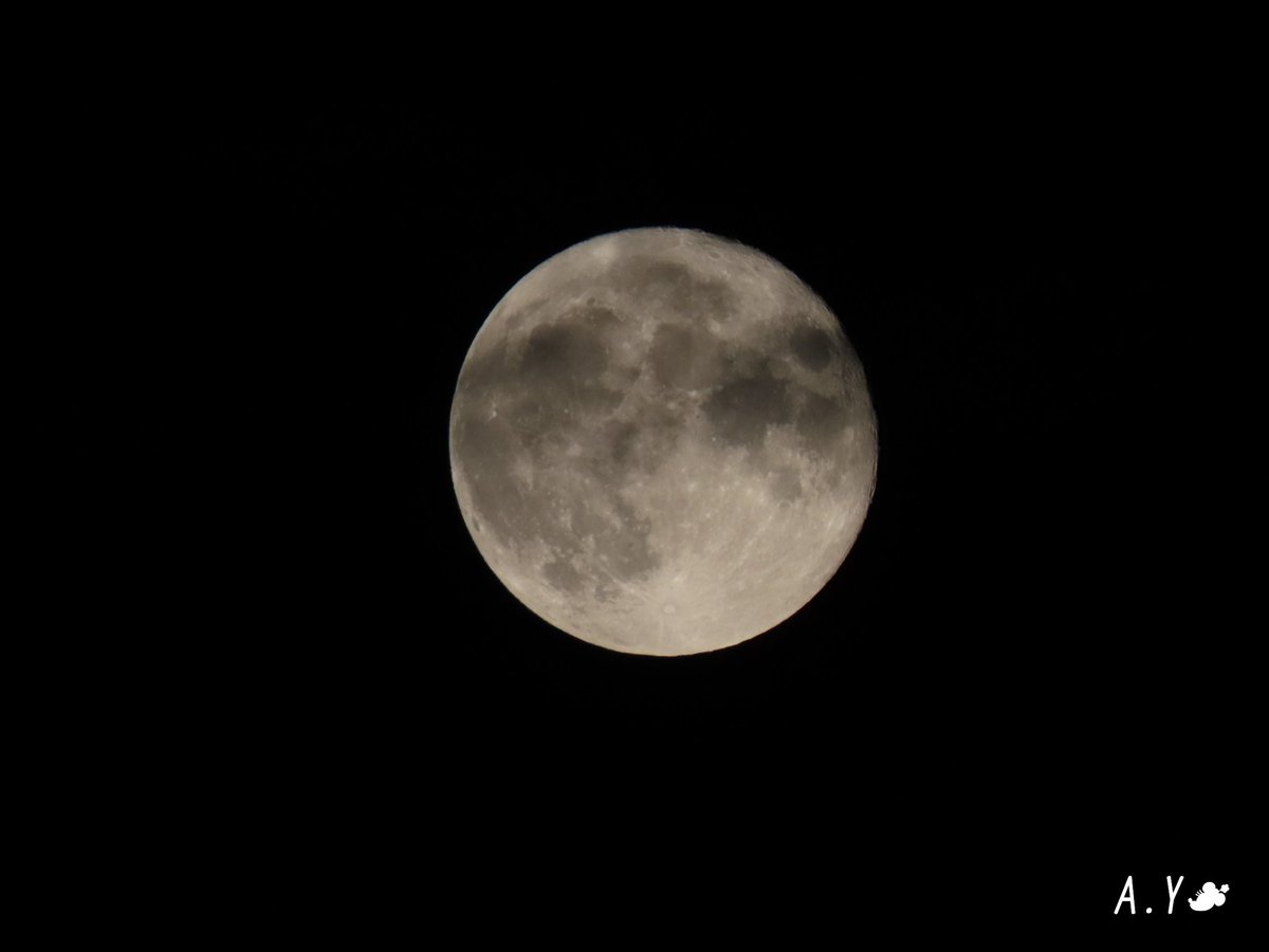 yumeasutw's tweet photo. 日中の熱気が冷めない夜🌃✨
南東の空に上る🌕✨ #十五夜 のお月様（月齢14.7）が綺麗です。
南の空には、 #土星 と #木星 が並んで輝いています✨

#いまつき #イマツキ #月 #moon
#満月（4日0:59）
#チョウザメ月 Sturgeon moon
#夜空 #宙の名前
#ガリレオ衛星
#a2020 #a0804 #a202008 #a2020082 https://t.co/Oyt1vJlK5U