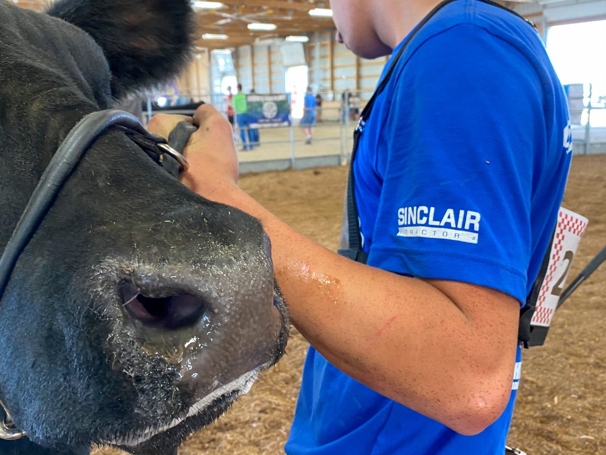 We are proud to sponsor the Best of the Best and many county fairs throughout Southeast Iowa. Congratulations to all exhibitors, and good luck at state fair!