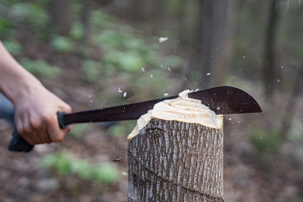 PalawanBlade's tweet photo. Just admiring the wood chips, and the TrailBlade of course ☺️ https://t.co/QxqxkVYrHe