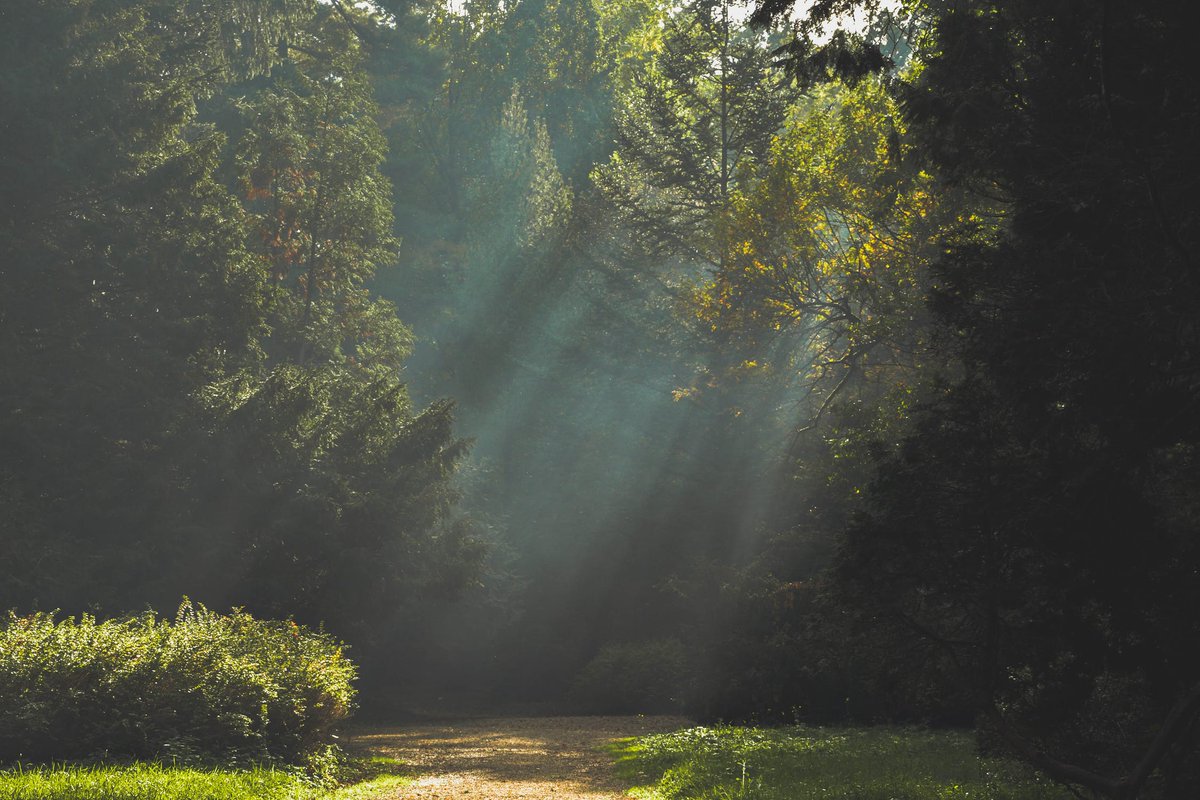 WeedingTech's tweet photo. Looking towards the future - social distancing may well be part of our 'new normal' for a while to come. Staff at our client @montgomeryparks have chosen their favourite wide, accessible trails which are perfect for #socialdistancing: https://t.co/DEmhfeDLyU #friendsoffoamstream https://t.co/Fy4oweVJCZ