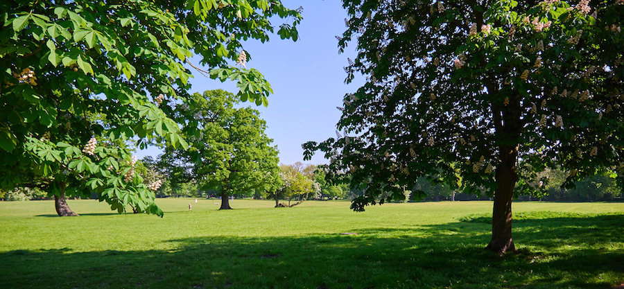 Here's the latest weekly update from Tom Williams, parkrun Chief Operating Officer 📝

We are getting through this, together.

👉🏽 parkrun.me/jha87

🌳 #loveparkrun