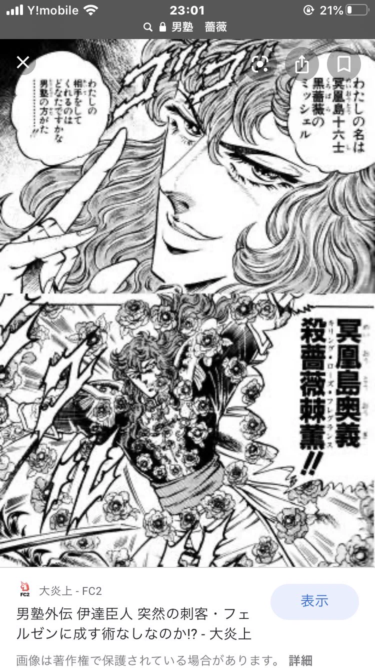 @iapple_ 男塾の冥王島十六士、黒薔薇のミッシェルでしょ？ 