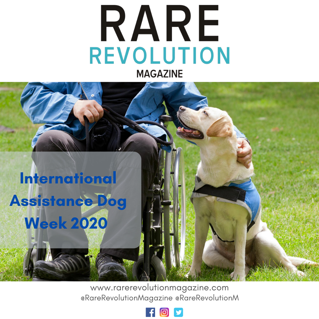RareRevolutionM's tweet photo. Assistance dogs change the lives of people with debilitating physical and mental disabilities by not only providing assistance in daily life but by becoming a companion. In celebration of #InternationalAssistanceDogWeek share a photo of your working dog with us! @supportdogsuk https://t.co/GHDZvZbwXS