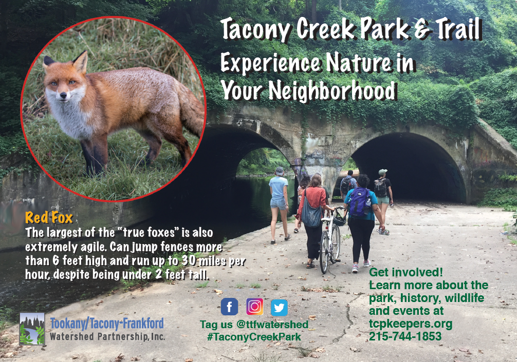 TTFWatershed's tweet photo. You can share your love for #TaconyCreekPark with friends and family who haven't yet visited with these new park postcards! Find us in the park or contact us to get yours: info(at)ttfwaters(dot)org. You can also call the office at 215-744-1853 and leave a message. #discoverTCP https://t.co/xQ9DLFUBhv