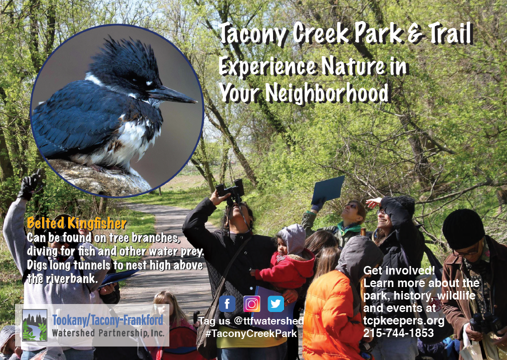 TTFWatershed's tweet photo. You can share your love for #TaconyCreekPark with friends and family who haven't yet visited with these new park postcards! Find us in the park or contact us to get yours: info(at)ttfwaters(dot)org. You can also call the office at 215-744-1853 and leave a message. #discoverTCP https://t.co/xQ9DLFUBhv