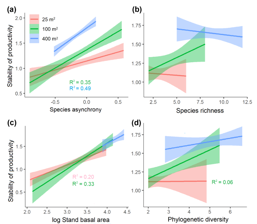 Oikos_Journal's tweet photo. Accepted: Dolezal et al: Determinants of ecosystem stability in a diverse temperate forest
https://t.co/bXg0hkF9cY
@wileyecology @NordicOikos #asynchrony #temporalvariability #mixedspecies #functionaltraits #assymetriccompetition https://t.co/8a42QVQ0iX