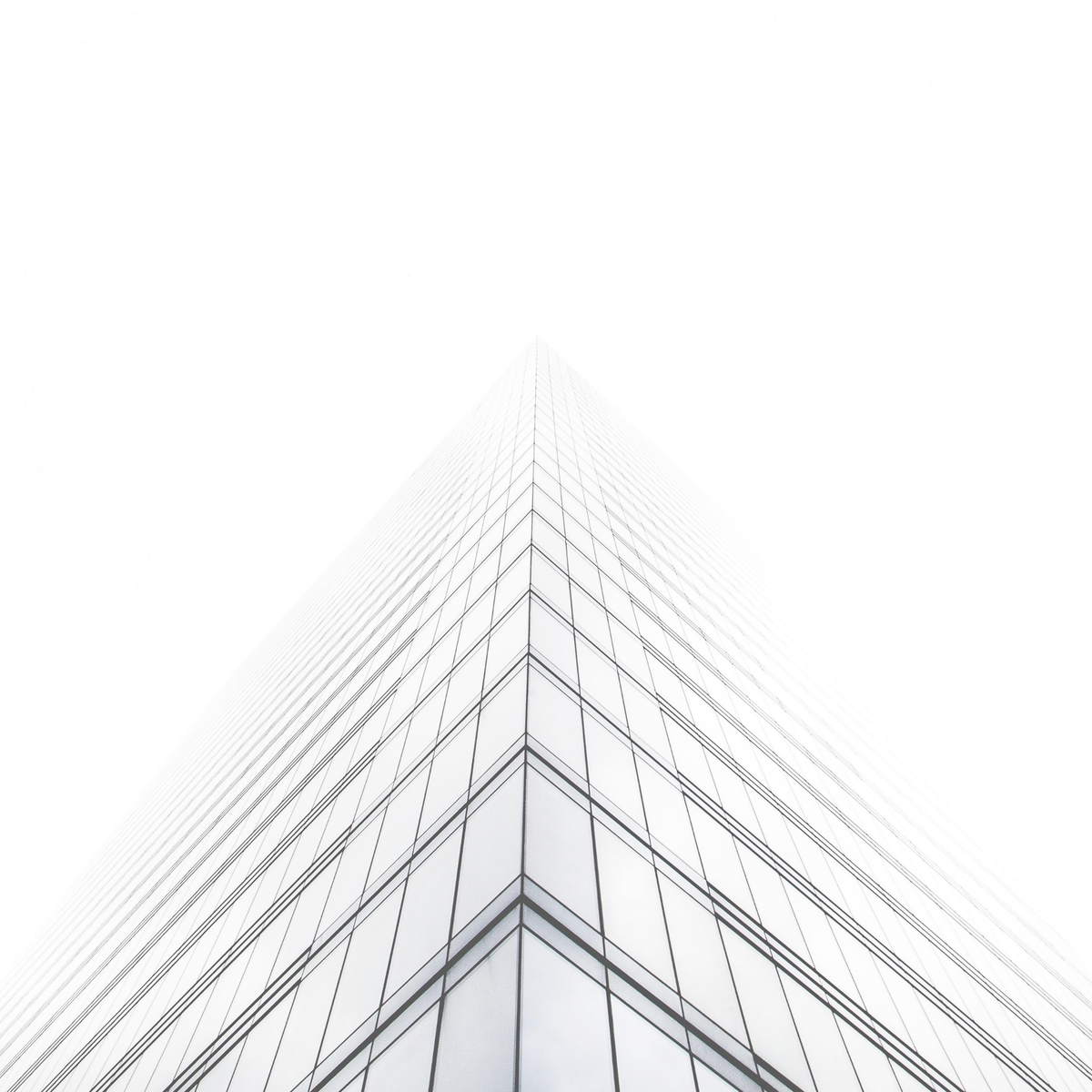 In moments of uncertainty, when we can't see the end or the goal, we can focus on what is around us. That may take the form of Human Entrepreneurship, which gardes the human (employees, customers, and community) as the most important part of business operations.