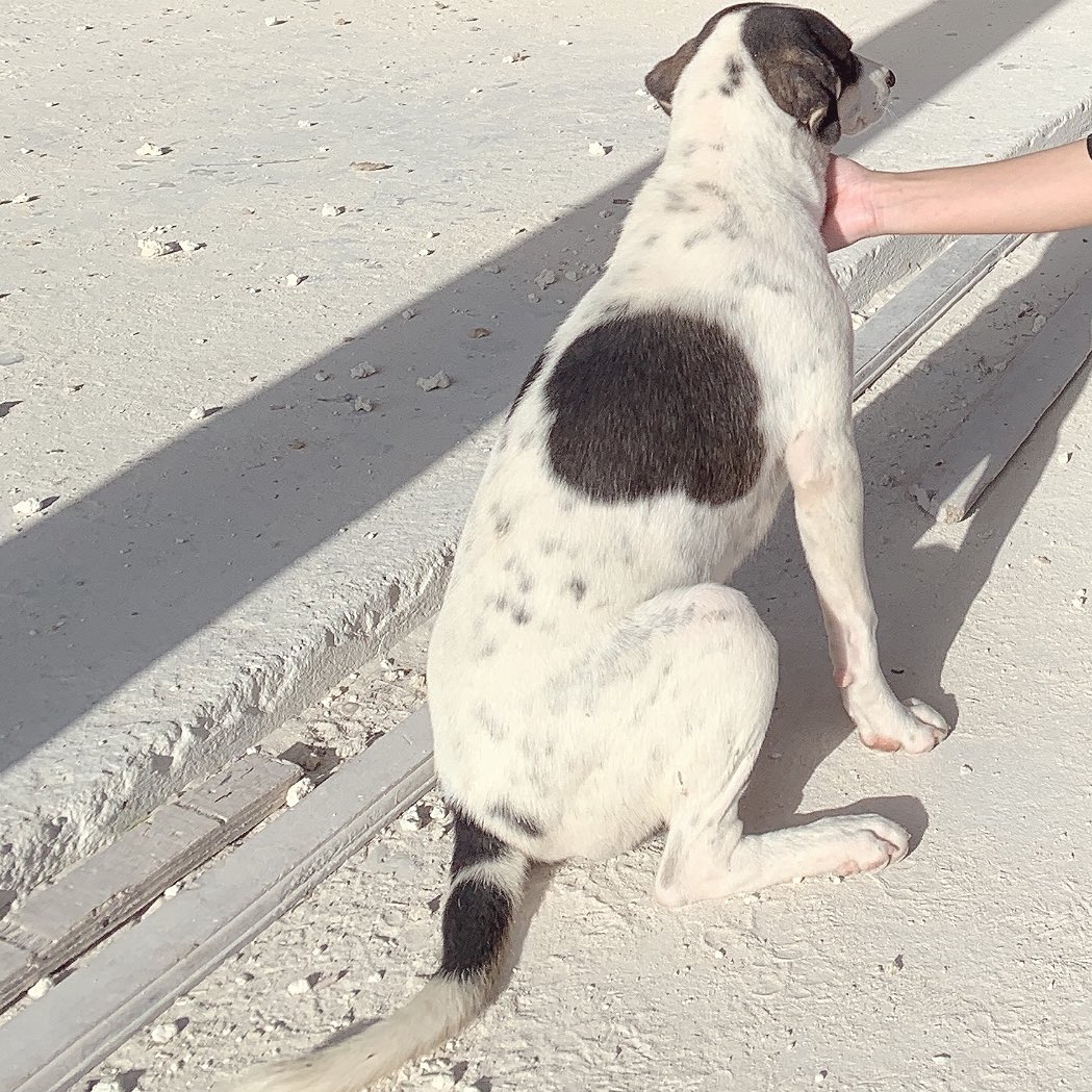 wonderrose111_'s tweet image. #nyong..