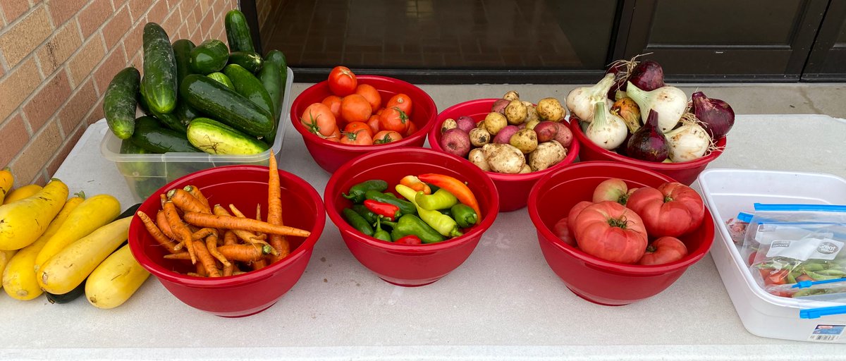 AuroraMSHuskies's tweet image. Fresh Garden Veggies!!!!

The Middle School garden is thriving &amp;amp; has some veggies to give away.

Table is set up in front of the Middle School office today(8/4/20).

Please take what you need.