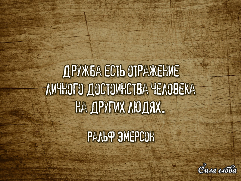 silaslovakz's tweet photo. #цитаты #мудрость #афоризмы #философия #высказывания https://t.co/zhskg0JvlA