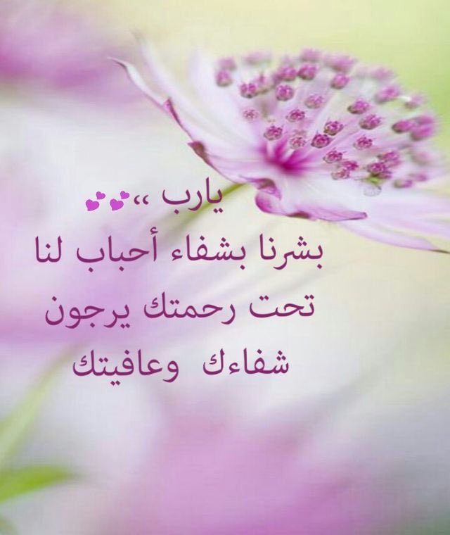 زياد الظلام tweet media