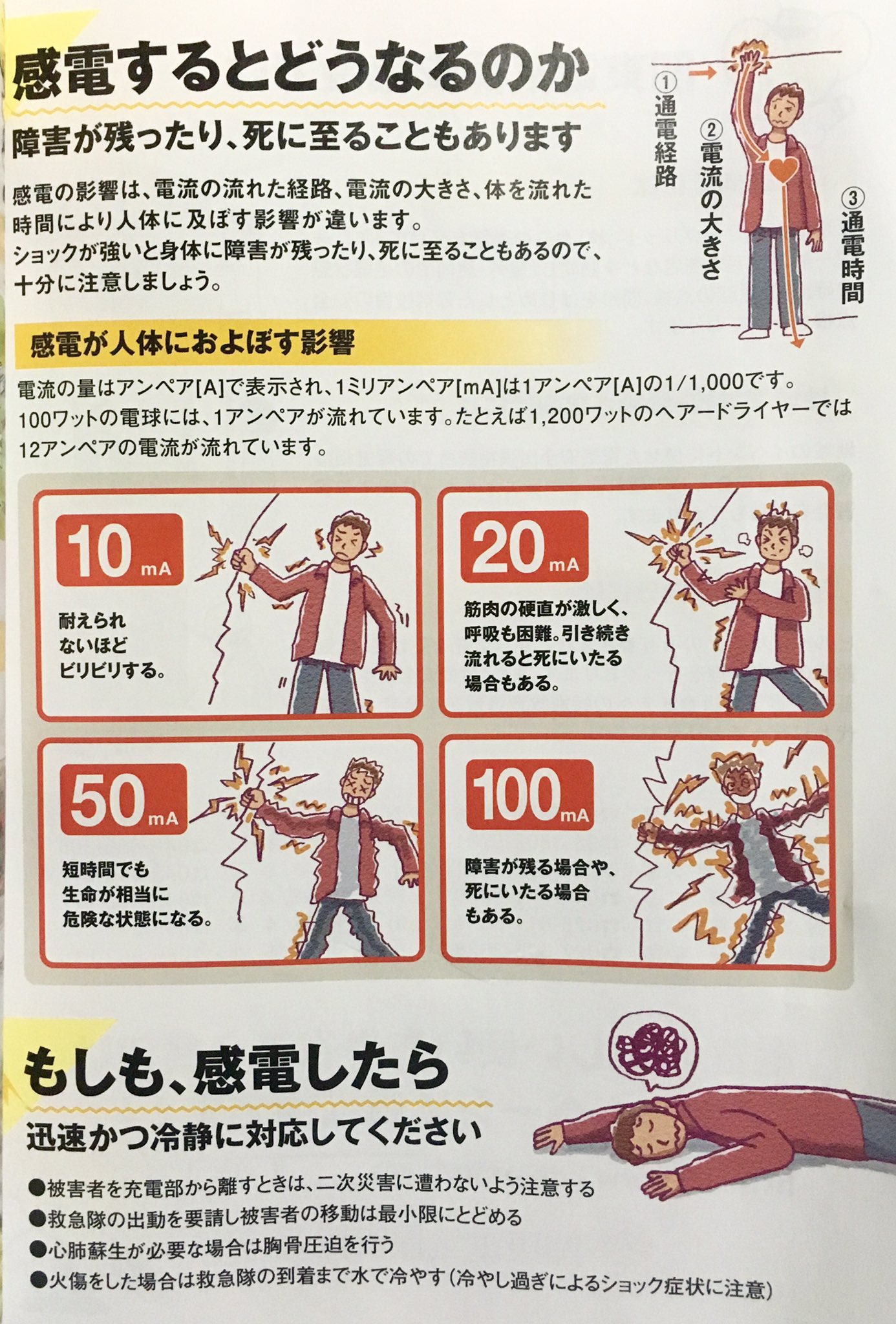 トラ猫 素敵なチラシをもらった T Co Wsueum9fce Twitter