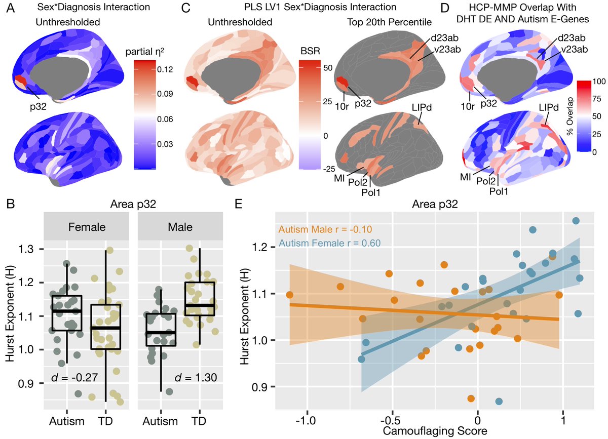 In rsfMRI data from adult autistic men and women, we found that H in rsfMRI is heavily reduced in ventral MPFC in autistic males but not females. PLS analysis revealed many other regions similar to those that highly express DHT-sensitive and autism-relevant excitatory genes.
