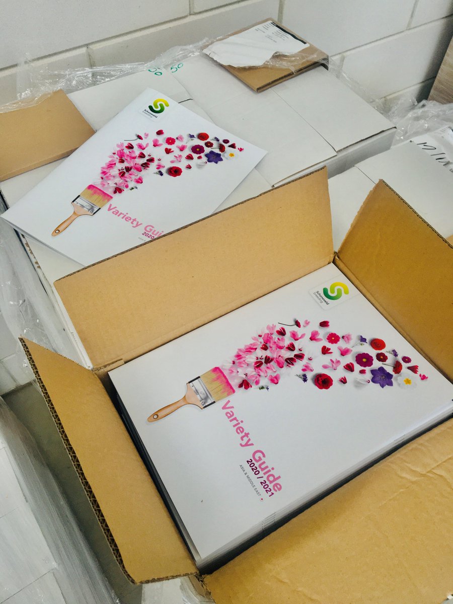 Schoneveld Breeding tweet media