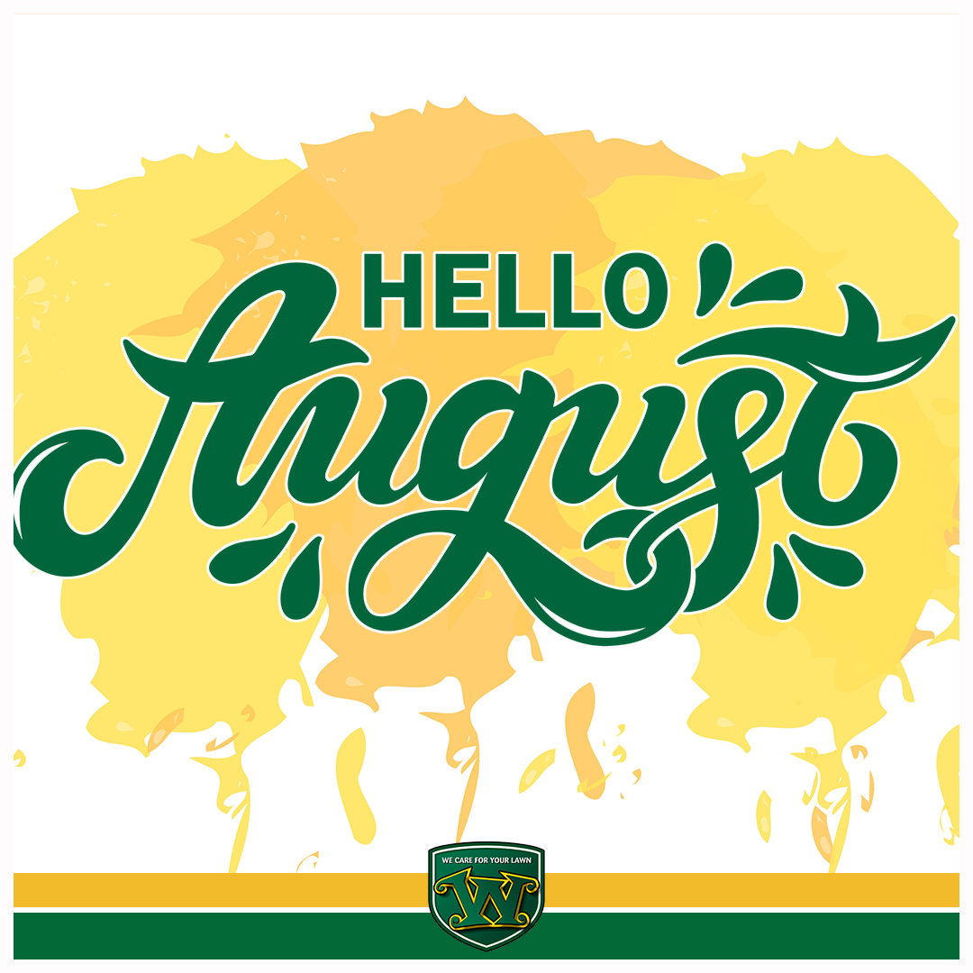 Hellllllo, August! Can you believe another month has come and gone!? Time flies when you're having fun! How have you and your family been enjoying your lawn this summer? #August #lawncare #wecareforyourlawn