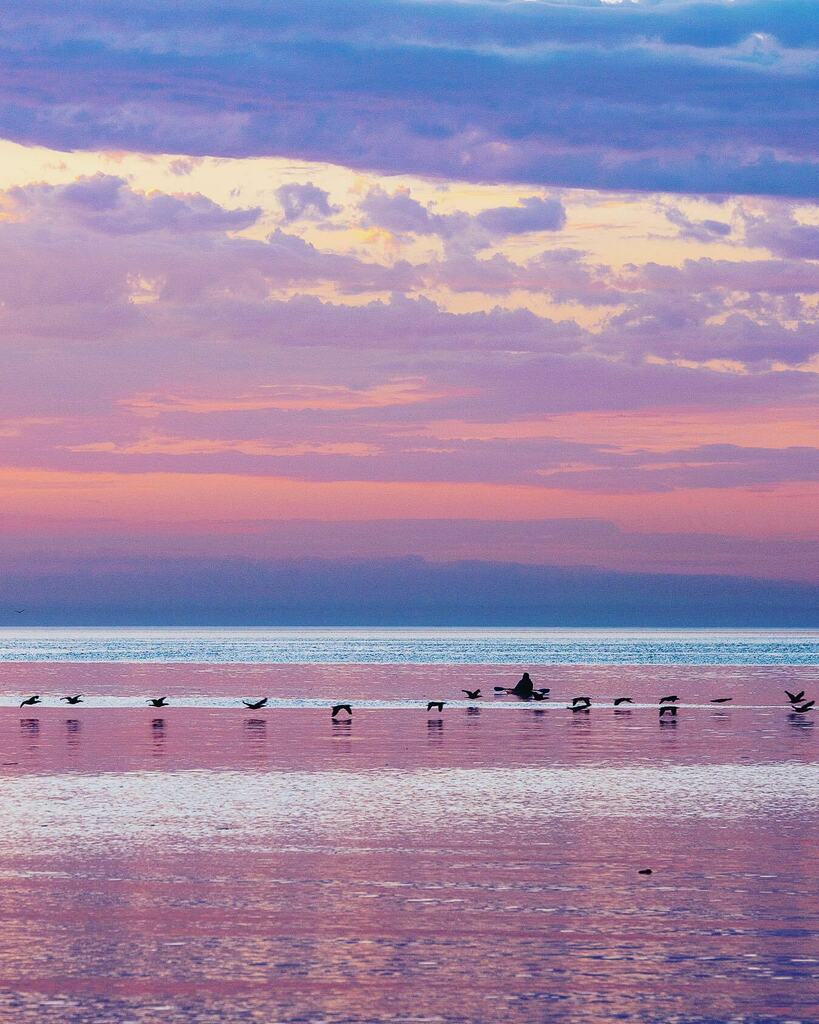 Imagine kayaking on Lake Ontario as you soak up the warmth of a brilliant sunrise, when all of a sudden a flight of cormorants fly right by you! There must have been hundreds of cormorants flying in one single file, all by this kayaker who just sat there… instagr.am/p/CDeDs_-AxGE/