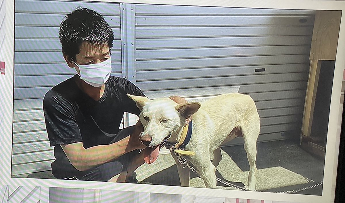 熊本 豪雨 犬 ゲン