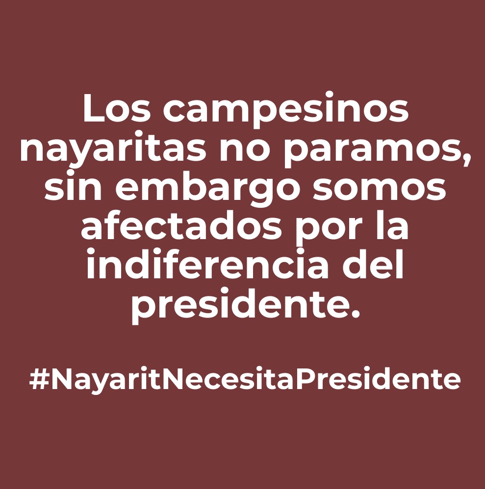 C.N.C. Nayarit tweet media