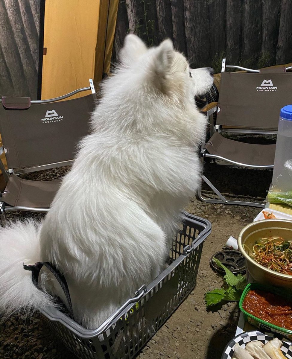 akiterudactyl's tweet photo. She sulky. Look at me, baby. 🥺 https://t.co/gPMrKRe8Ju
