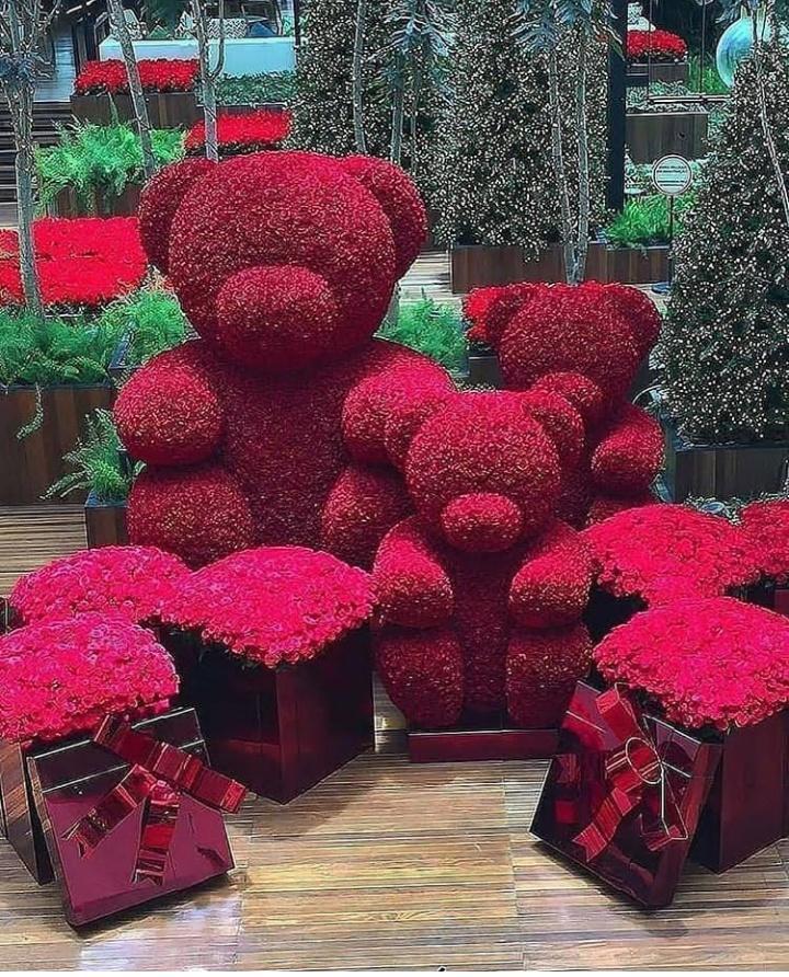 casadedolly's tweet photo. Que belleza https://t.co/EVpwkzNuDn