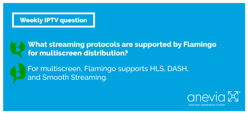 aneviaiptv's tweet photo. [Weekly #IPTV question]
Q: What streaming protocols are supported by Flamingo for multiscreen distribution?
A: For #multiscreen, Flamingo supports HLS, DASH, and Smooth Streaming.
Any other IPTV questions? Reply to us! #headends #Anevia https://t.co/EKpMGSLpsw