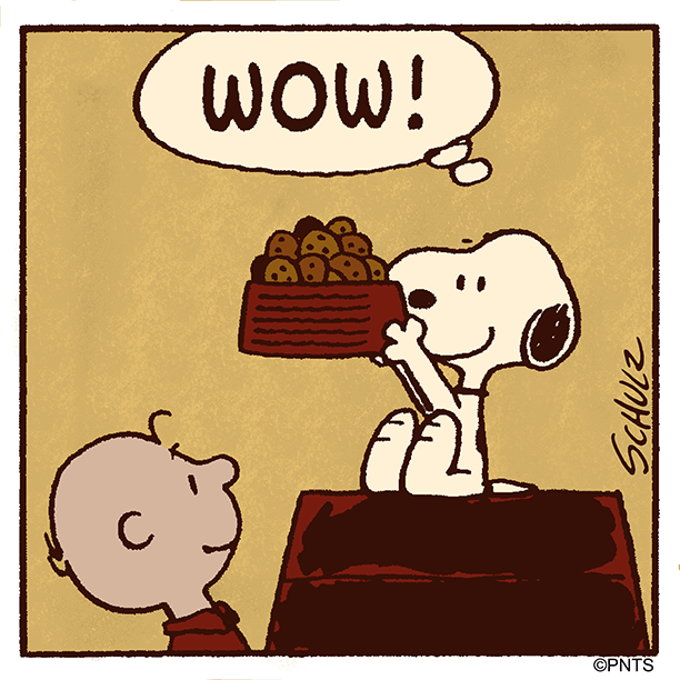 Snoopy's tweet photo. Happiness is a bowl of chocolate chip cookies 🍪 #NationalChocolateChipCookieDay https://t.co/GUFR0KUwAO