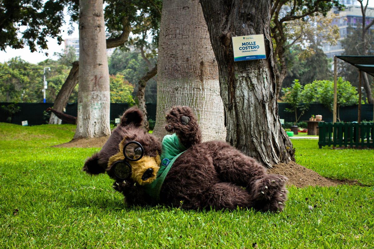 MinamPeru's tweet photo. 📢 Nono🐻, el oso de la #HuellaDeCarbono pide el apoyo de la ciudadanía para cumplir con su misión de lograr que más empresas se sumen a las acciones climáticas en el Perú. 
✅ Conoce cómo puedes ayudarlo: https://t.co/aALy0sqarY
#QueLasEmpresasSeSumen
#ElPerúPrimero https://t.co/jq7T2Xgk5j