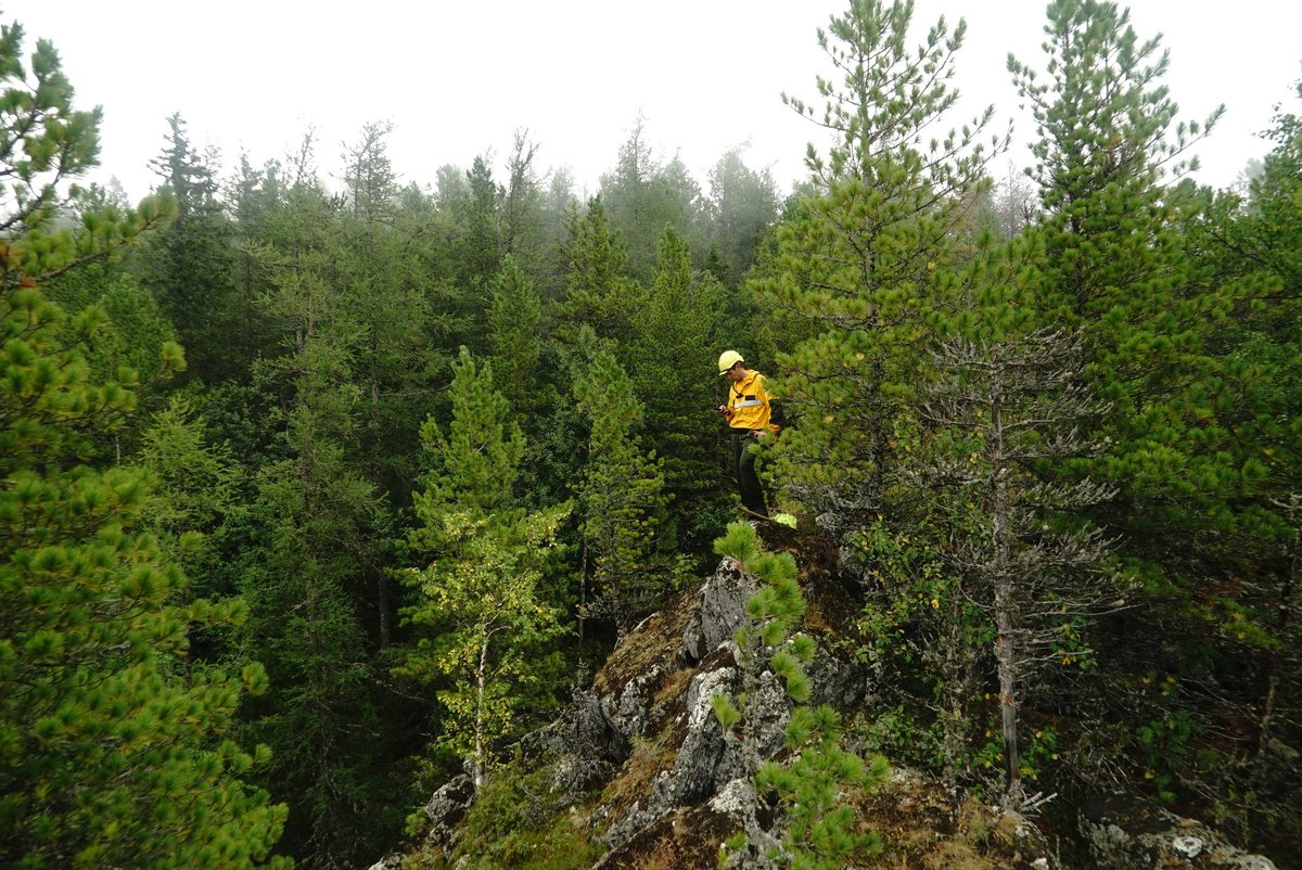 Denezhkin_Kamen's tweet image. Ситуация с пожаром в заповеднике «Денежкин Камень» на 19:00 4 августа 2020 года. 
denkamen.ru/node/459
#пожар #заповедник #ДенежкинКамень #МЧС #Авиалесоохрана