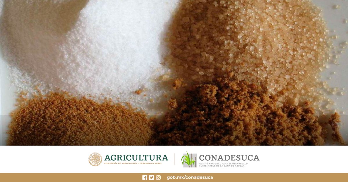 CONADESUCAmx's tweet photo. Conoce el comportamiento actual e histórico de los precios del azúcar en el mercado nacional mediante cuadros y gráficos de consulta rápida. https://t.co/kLjG8hTdz9 https://t.co/wLQHQBSl2D
