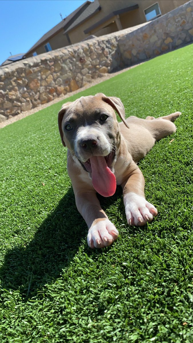 chanel says good morning