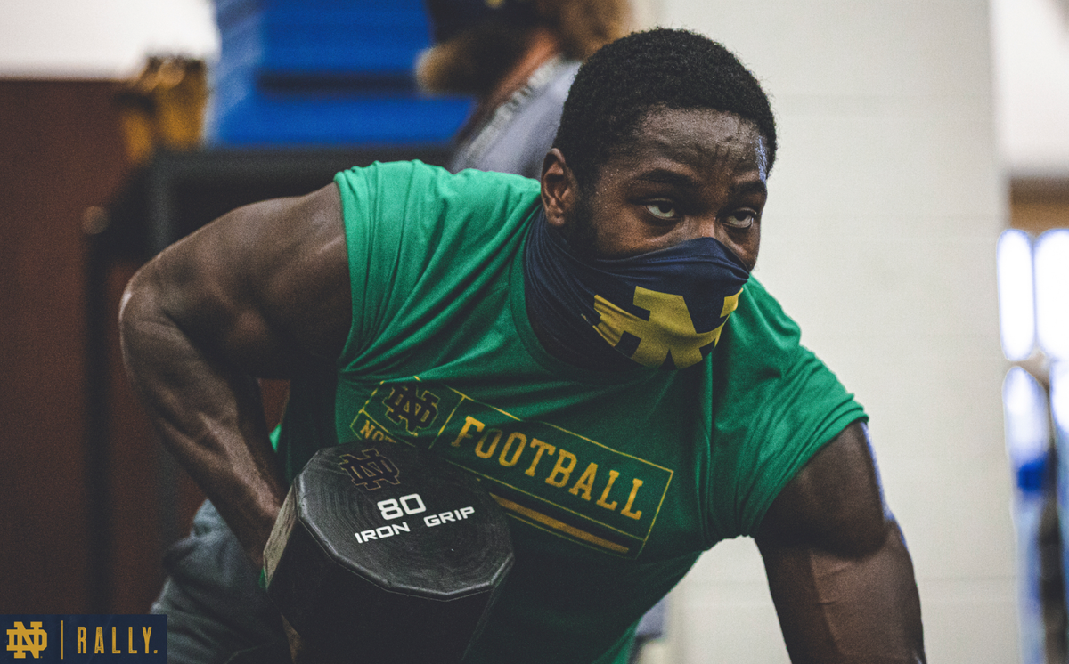 The Fighting Irish tweet media