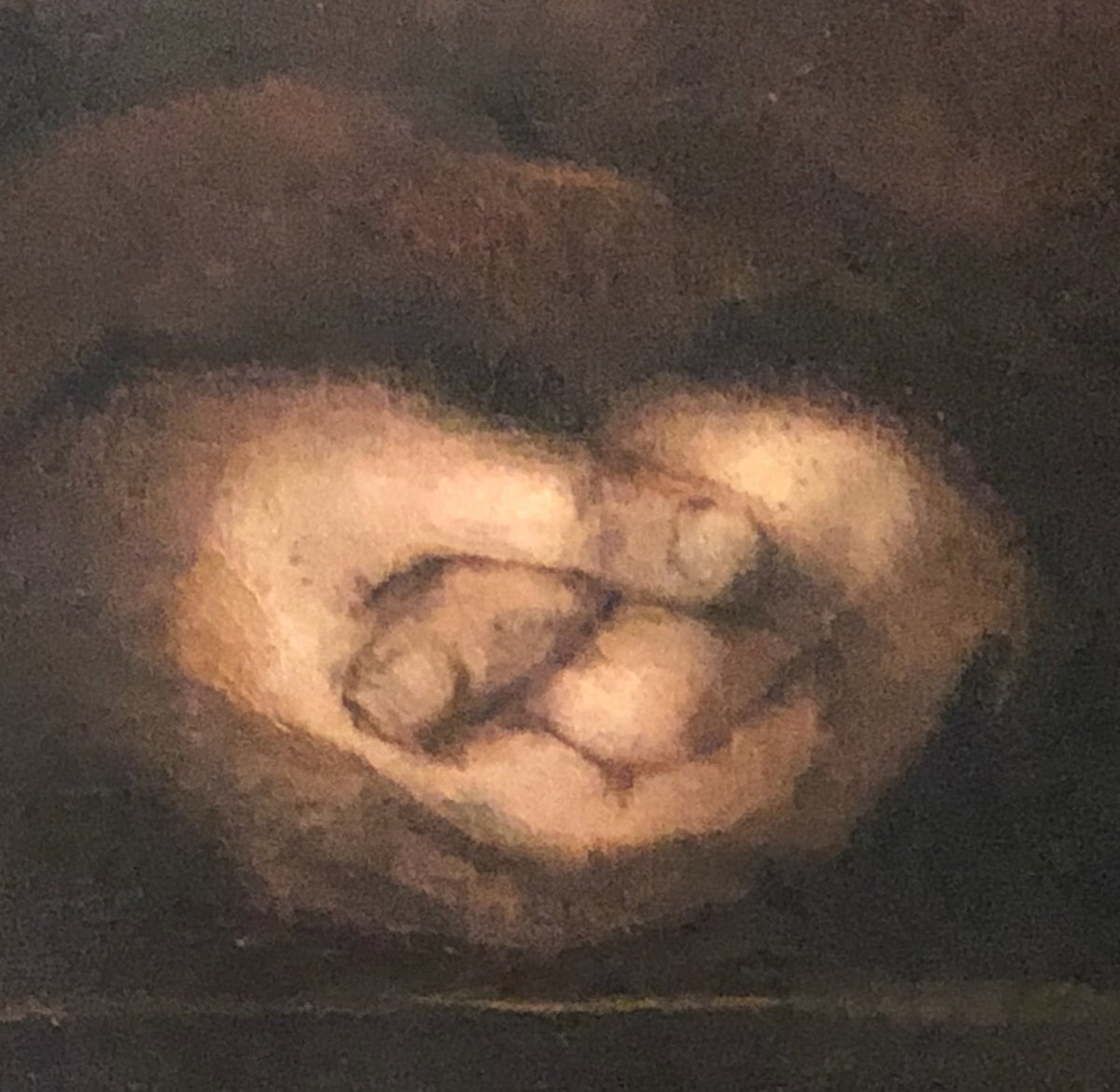 Fernandoepanise's tweet photo. #rembrandt en sus retratos hablando con las manos en el @MuseoThyssen todo un descubrimiento https://t.co/DAFWXFMvVk