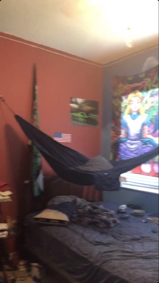 sam as my brother’s indoor hammock