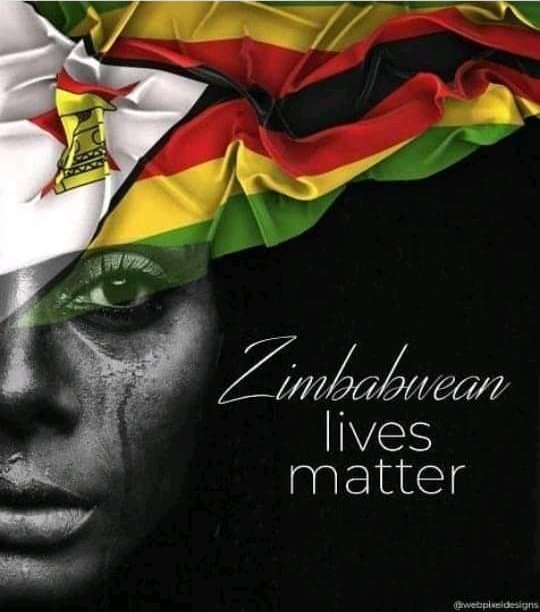 #zimbabweanlivesmatter