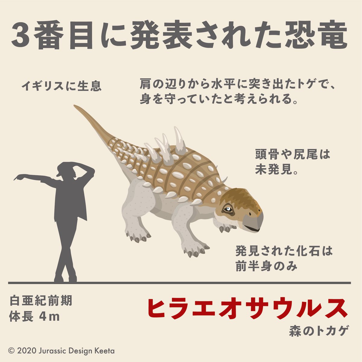 ケータ 恐竜イラスト グッズデザイン No 104 ケータの恐竜図鑑 Hylaeosaurus ヒラエオ サウルス イギリスで見つかった鎧竜の仲間で イグアノドン メガロサウルスに続き 早くから知られた種類 恐竜 恐竜イラスト 恐竜イラストレーター