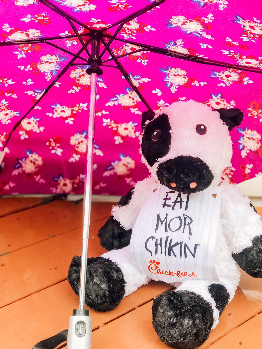 AbingdonCFA's tweet photo. STORM UPDATE: We are open! However, please don’t travel unless you have to. We want all our friends to stay safe and dry indoors if they can! 

Our phone lines are currently down and curbside is temporarily turned off. We apologize for any inconvenience this may cause! ☔️ #cfacf https://t.co/UkvSNp3n1S