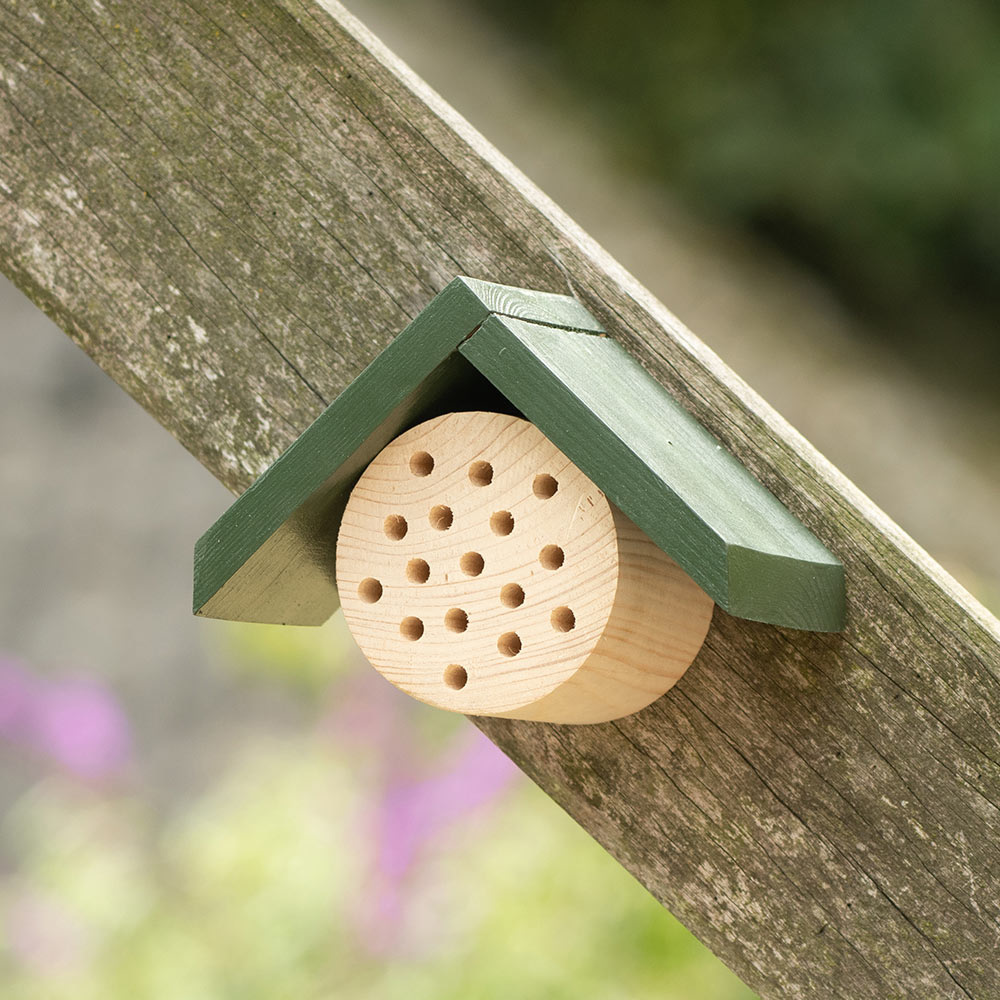 CJWildlife's tweet photo. This month two of our popular insect hotels are on special offer. Simply position the Bee Hotel in a sunny spot, preferably near pollen-rich flowering plants. 

👉 https://t.co/pLb8rK2Yxb

#athomewithnature #gardenwildlife https://t.co/Vl0XFvT2ye