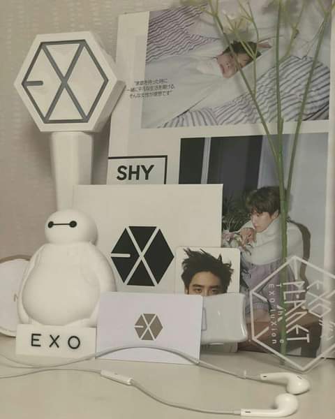 FatmaMo59900091's tweet photo. #HappyEXOLDay
#엑소엘_6살_축하해
#6YearswithEXOLove
#Happy6thAnniversaryEXOL 
#L1485 @weareoneEXO  @B_hundred_Hyun  @layzhang https://t.co/ps3OdIQDZf