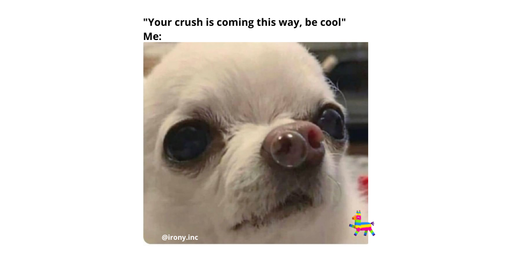 capshotofficial's tweet photo. ... via @irony.inc 
.
.
.
.
.
.
.
.
.
#crushmemes #lovememes #loveconquersall #chihuahuasofinstagram #chihuahuamemes #capshot #capshotmemes #relatable #relatablememes https://t.co/YUlonsWaRz
