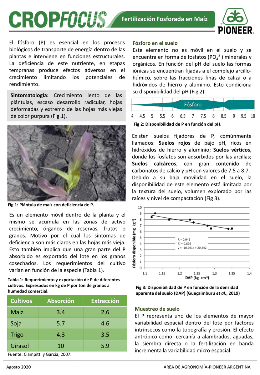 PioneerSemillas's tweet photo. ✔️Nuevo informe #CropFocus:
🌽Fertilización Fosforada en Maíz.
#HechoParaCrecer #Semillas #Maiz #Fertilizacion https://t.co/YTB2L4JKdl