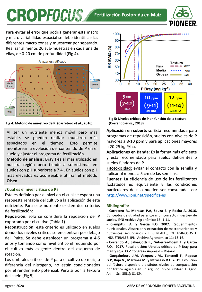 PioneerSemillas's tweet photo. ✔️Nuevo informe #CropFocus:
🌽Fertilización Fosforada en Maíz.
#HechoParaCrecer #Semillas #Maiz #Fertilizacion https://t.co/YTB2L4JKdl