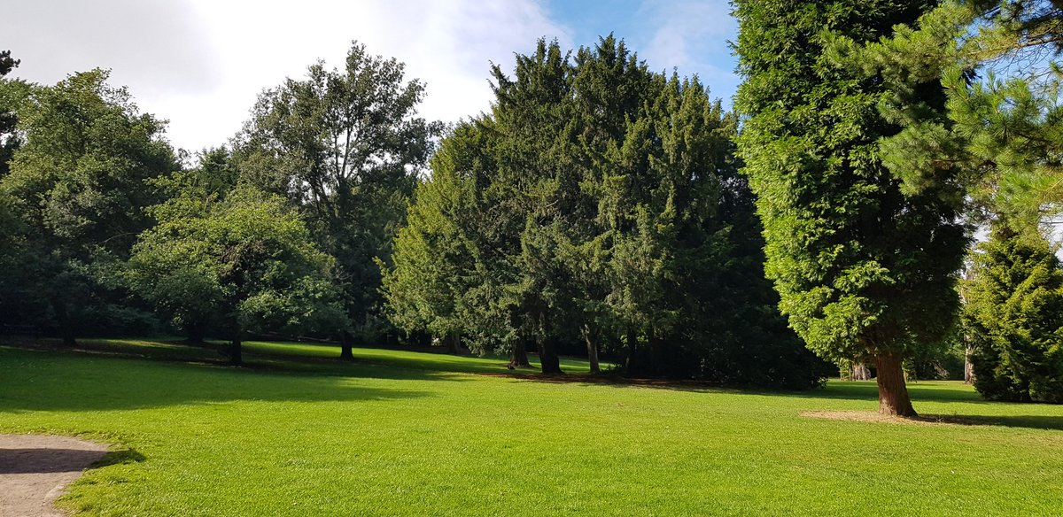 Been out walking the dog at the woods...