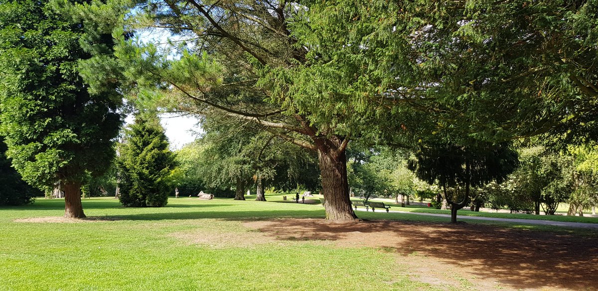 Been out walking the dog at the woods...