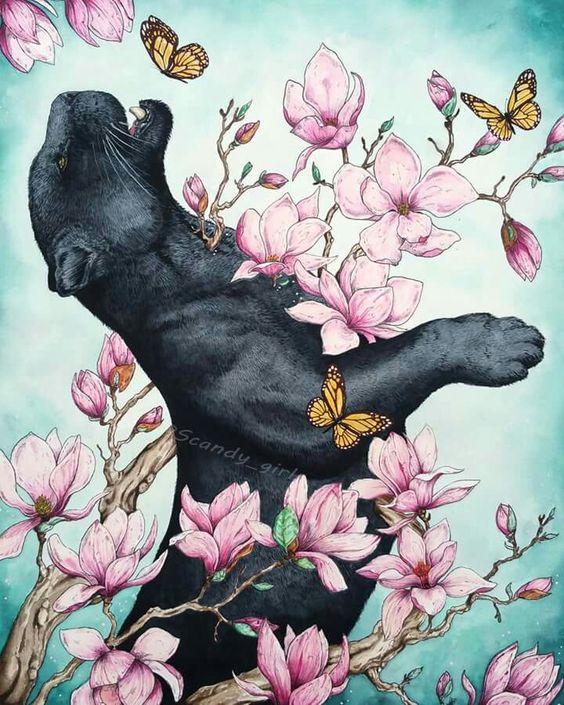 jasmoonbutterfl's tweet photo. Catrin Welz-Stein

&amp;

Veri Apriyatno https://t.co/HWzhJFLWhv