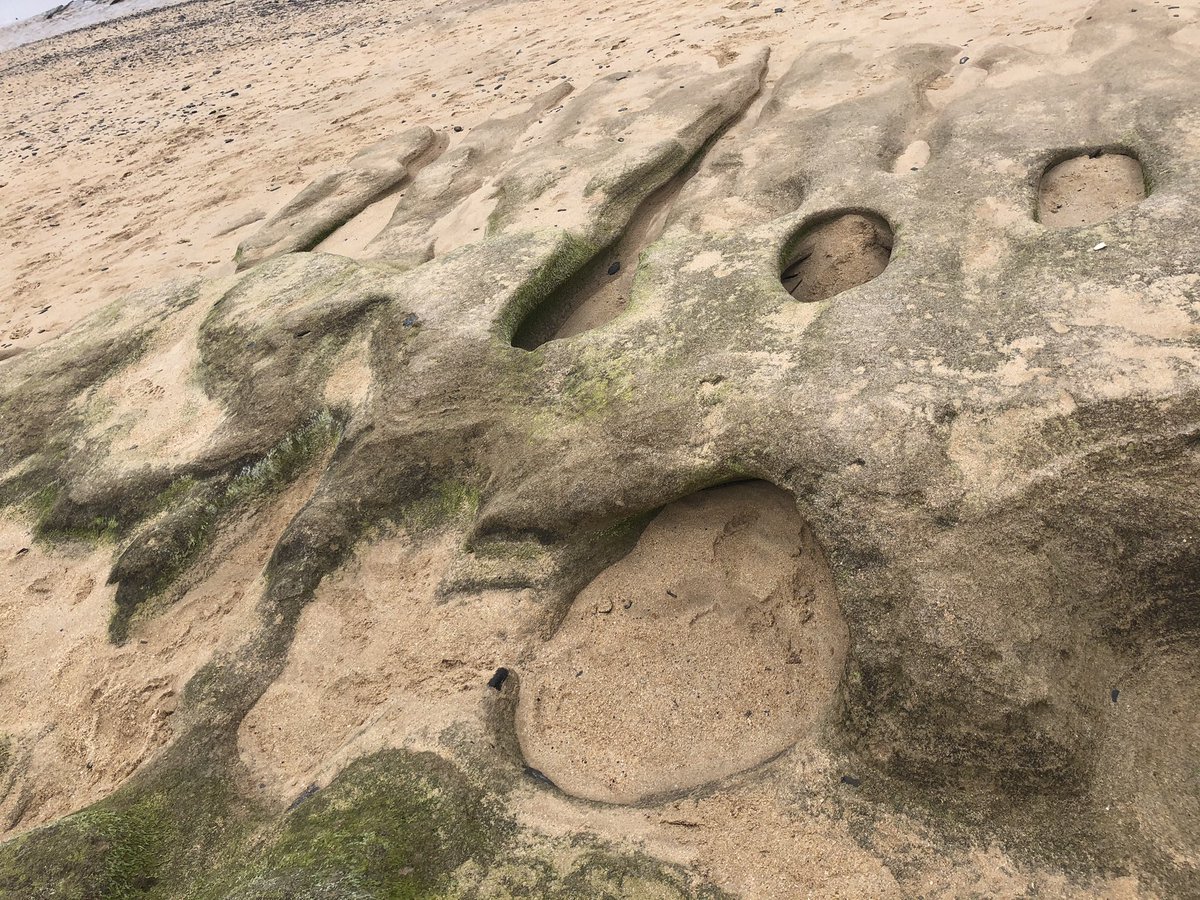 Geochem_Pip's tweet photo. Lilly’s Cornwall Field Diaries- Walked from Padstow-Trevone-Harlyn Bay-Trevose Head. Blisters on my feet, a sign of a good adventure! Harlyn Bay sandstone composed of laminae and thin beds(<1cm thick), reveals wave-induced fluting, runnels, and cavitation https://t.co/zGjDpUx2X2