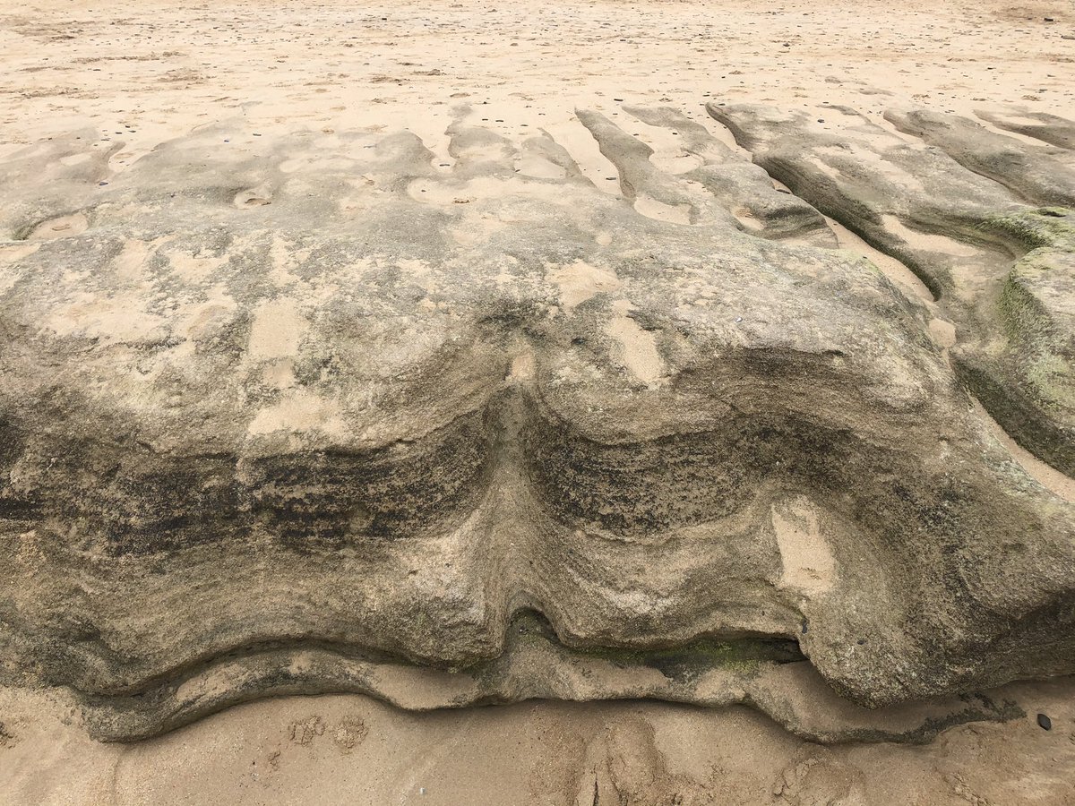 Geochem_Pip's tweet photo. Lilly’s Cornwall Field Diaries- Walked from Padstow-Trevone-Harlyn Bay-Trevose Head. Blisters on my feet, a sign of a good adventure! Harlyn Bay sandstone composed of laminae and thin beds(<1cm thick), reveals wave-induced fluting, runnels, and cavitation https://t.co/zGjDpUx2X2