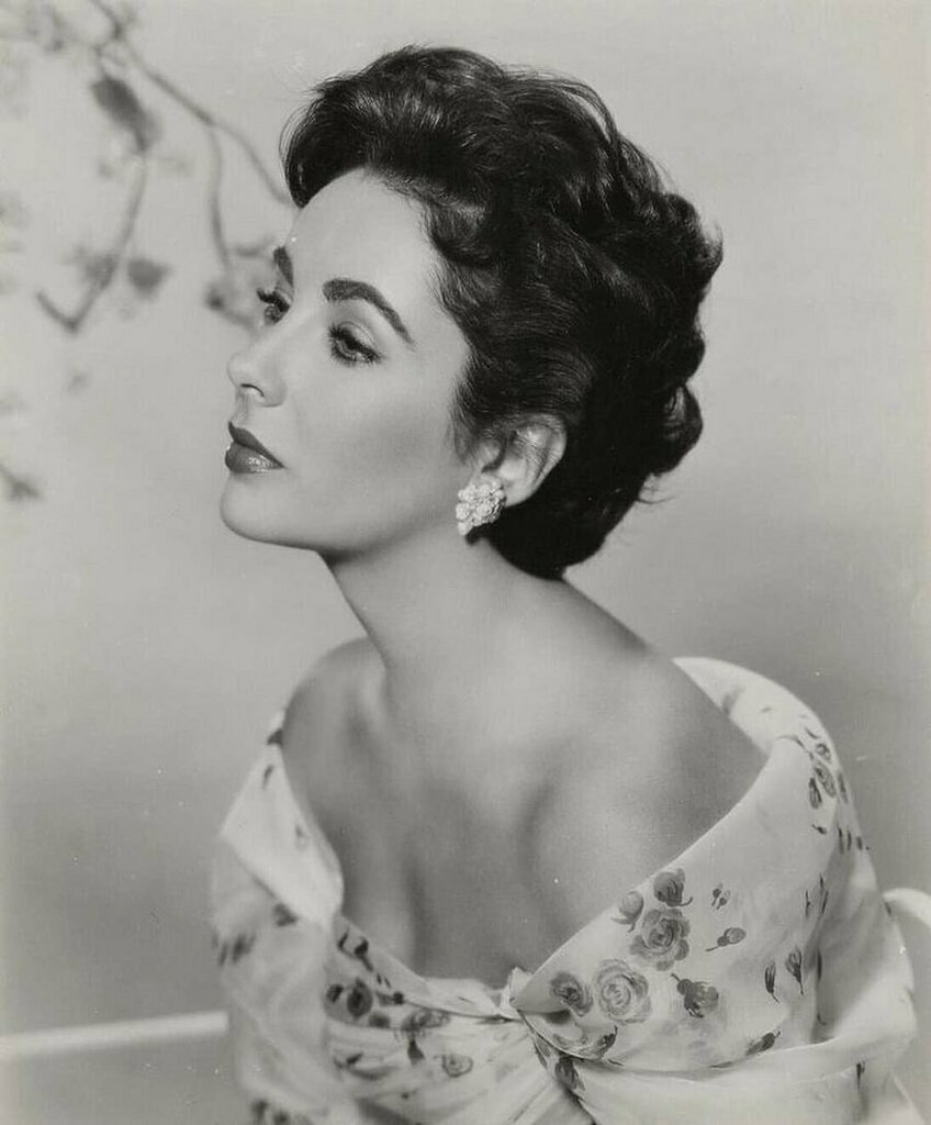 HollywoodLoving's tweet photo. It is very strange that the years teach us patience - that the shorter our time, the greater our capacity for waiting. -#ElizabethTaylor 

https://t.co/30vw3d1ah7 https://t.co/pLU9k5beC9 https://t.co/VvLiSBCWvP
