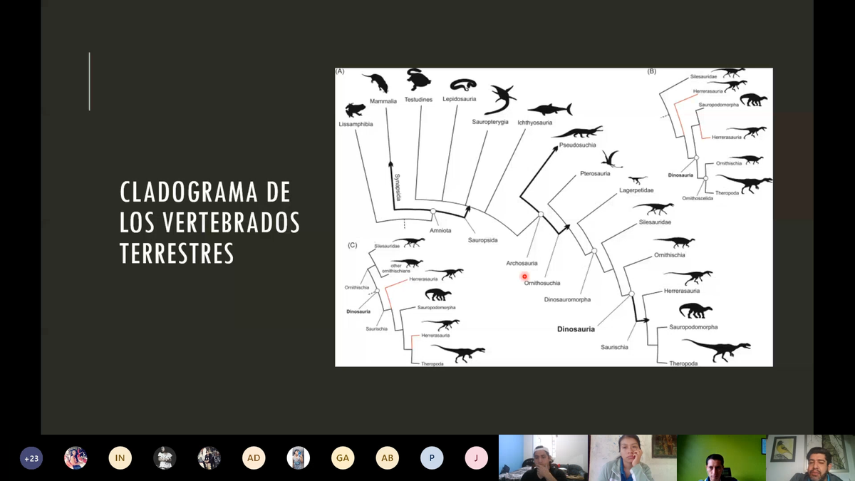 Mario A. Ávila tweet media