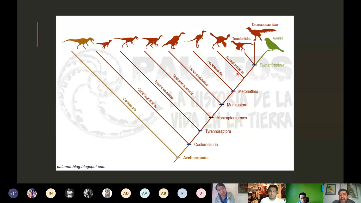 Mario A. Ávila tweet media